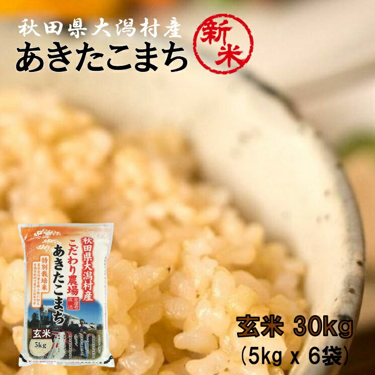 あきたこまち 玄米30kg（5kg×6袋）●安心の石抜き済●秋田県大潟村産 2023年産 特別栽培米 あきたこまち 脱酸素袋 《送料無料》