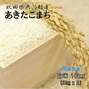 【新米】秋田県大潟村産 2019年産 特別栽培米 あきたこまち 《簡易包装》白米 10kg 《期間限定 通常価格より10％off》