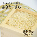 【農家直送】秋田県大潟村産 2019年産 特別栽培米 あきたこまち 玄米 5kg 贈答対応【新米】