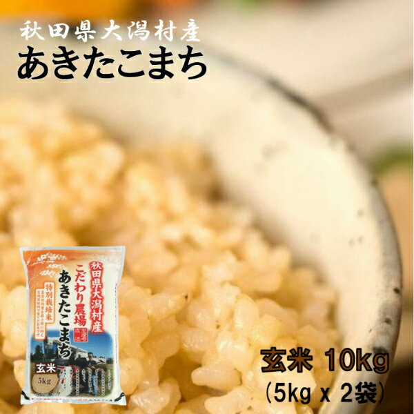 【新米】あきたこまち玄米10kg（5kg×2袋）【農家直送】秋田県大潟村産 2020年産 特別栽培米 あきたこまち 贈答対応