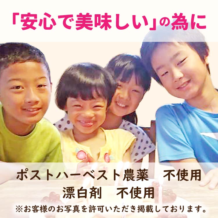 スーパー全粒粉 500g 埼玉県産全粒粉 全粒粉 国産 国産全粒粉 薄力粉 国産 パン クッキー 製パン材料 製菓材料 胚芽 胚乳 食物繊維 ミネラル