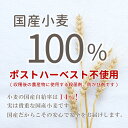 【特】農林61号 500g 国産薄力粉 中力・薄力小麦粉 国産 小麦粉 うどん粉 うどん用粉 菓子用粉 前田食品 3