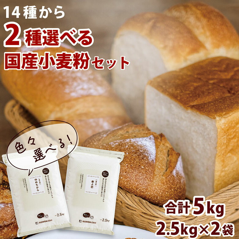 選んで楽しい♪国産小麦粉セット 2.5kg×2袋(5kg) 送料無料 強力粉 薄力粉 中力粉 強力小麦粉 パン用小麦粉 手ごねパン ホームベーカリー うどん粉 クッキー 手作り 国産 1