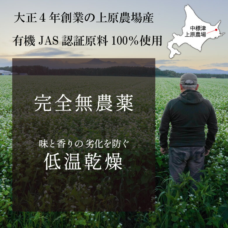 北海道産 最果てそば 1kg 前田食品そば粉 蕎麦 北海道産 最果てそば 風味豊か 自家製粉 石臼挽き 農薬不使用 ミネラル 中標津産 低温乾燥 完全無農薬栽培 上原農場