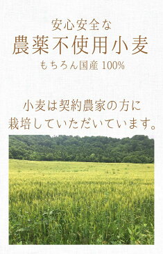 ＼200円クーポン／前田食品 農薬不使用 全粒粉(強力）1kg