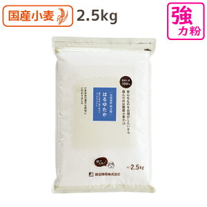 はるゆたか 2.5kg 国産 強力粉 小麦粉 北海道産 甘み 香ばしさ モチモチ感 おいしい パン用粉 前田食品