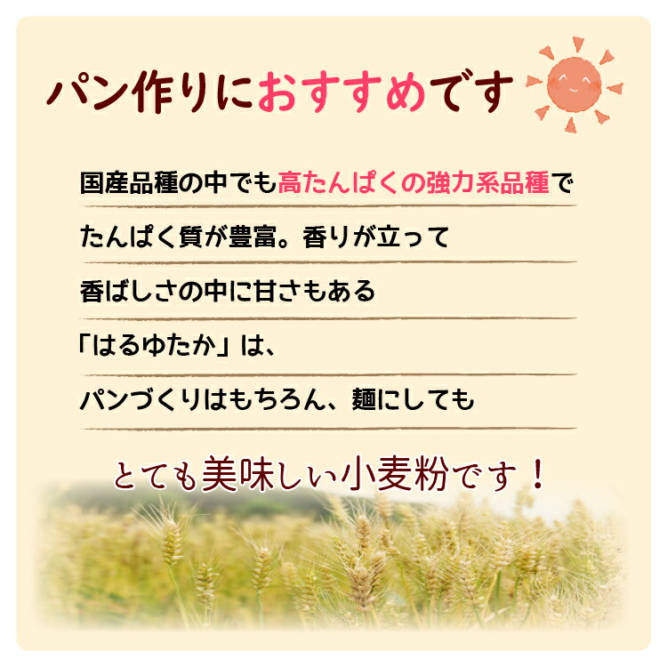 【楽天スーパーSALE ポイント5倍】はるゆたか 500g 国産 強力粉 小麦粉 北海道産 甘み 香ばしさ モチモチ感 おいしい パン用粉 前田食品