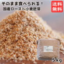 【数量限定販売】 純国産ロースト小麦胚芽 5kg 宅配便送料無料 添加物不使用 焙煎 国産小麦 栄養満点 希少 ビタミン