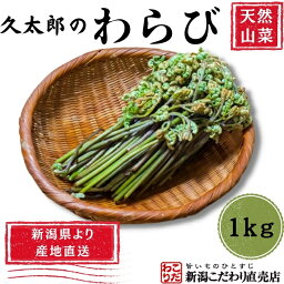 【2024年予約販売】（久太郎）わらび 1kg　新潟県産　天然山菜　産地直送　クール便発送　ギフト　プレゼント　のし　メッセージカード対応