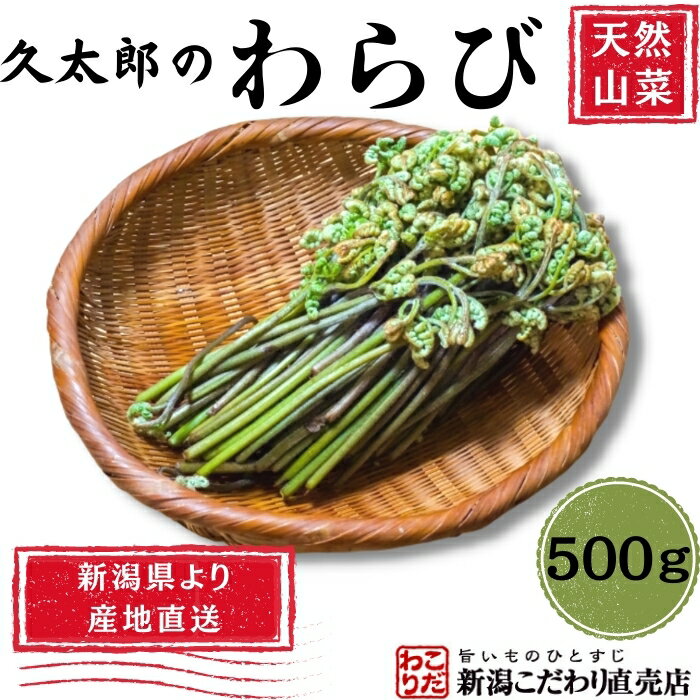 【2024年予約販売】（久太郎）わらび 500g　新潟県産　天然山菜　産地直送　クール便発送　ギフト　プレゼント　のし　メッセージカード対応