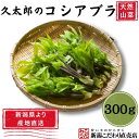 【2024年予約販売】（久太郎）コシアブラ300g　新潟県産　天然山菜　産地直送　クール便発送　ギフト　プレゼント　のし　メッセージカード対応　こしあぶら