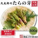 【2024年予約販売】（久太郎）タラの芽300g　新潟県産　天然山菜　産地直送　クール便発送　ギフト　プレゼント　のし　メッセージカード対応