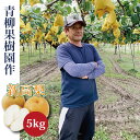 和梨 新高 5kg (6〜9大玉) 生産者・青柳果樹園 新潟県産 お中元 お歳暮 ギフト 贈り物 贈 ...