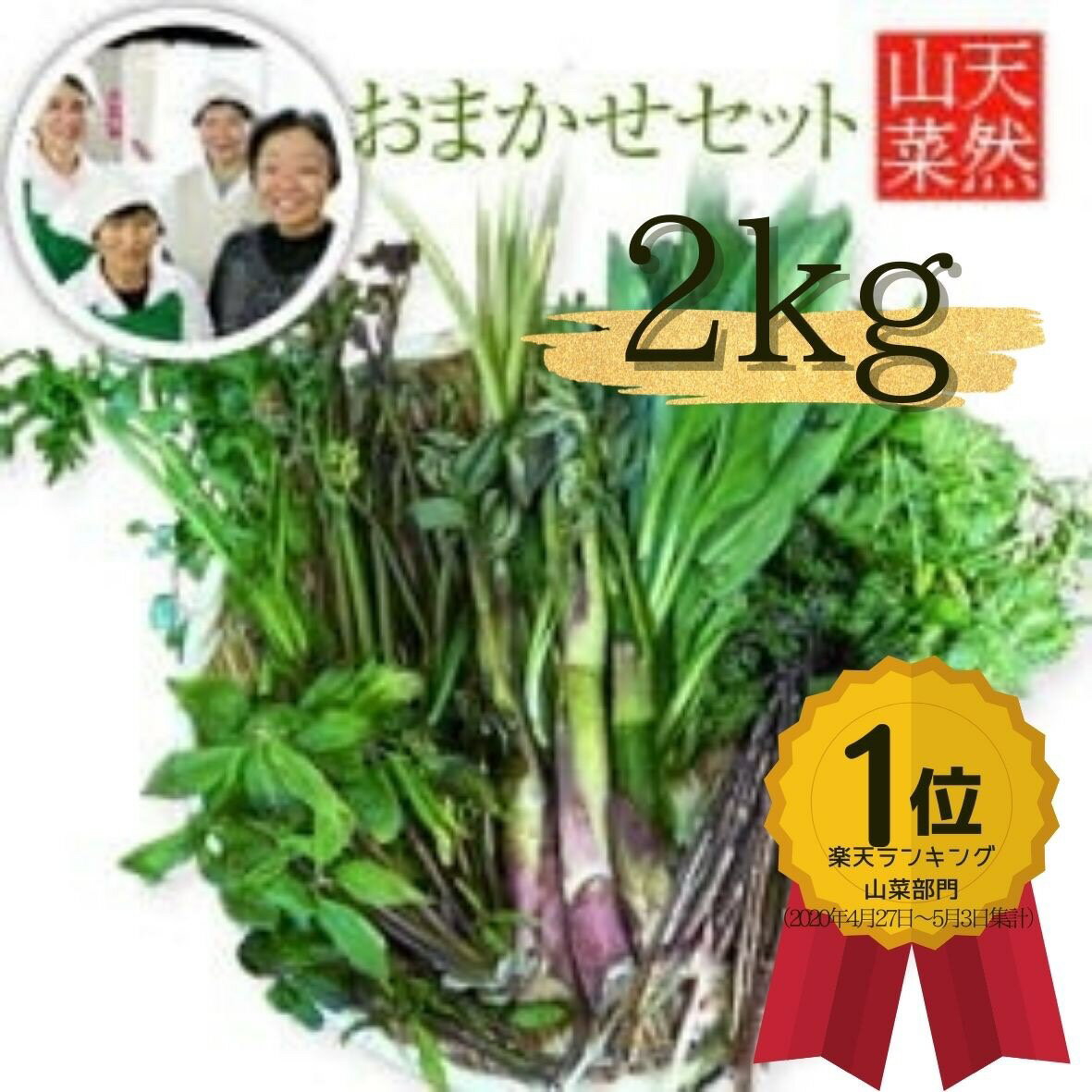 山菜ランキング1位受賞 【2024年予約販売】天然山菜セット 2kgおまかせセット 採取者・笑顔の里 天然山菜/新潟県魚沼産