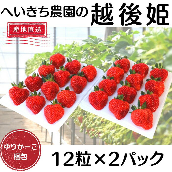 いちご (へいきち農園)越後姫　えちごひめ　12粒入2パック　新潟県産　新潟ブランド苺　　産地直送　採れたて　ゆりかーご　苺　いちご　イチゴ　クール便発送　ギフト　プレゼント　のし　メッセージカード対応