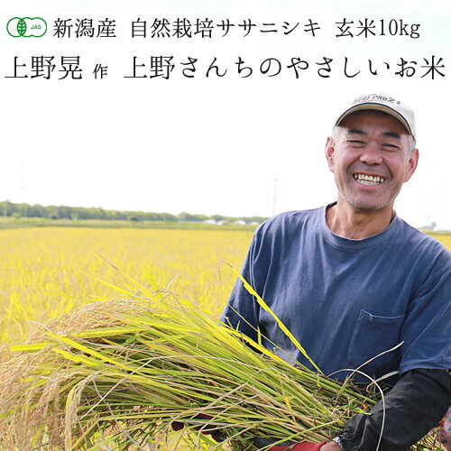 【令和1年度産新米】有機JAS認証 新潟県産 ササニシキ「上野さんちのやさしいお米」玄米 10kg(5kg袋×2)【送料無料】