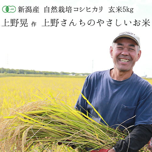 有機JAS認証 新潟県産 コシヒカリ「上野さんちのやさしいお米」 玄米 5kg【送料...