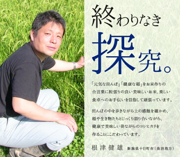 【令和1年度産米】【定期便 1年分】有機JAS認証 魚沼産 コシヒカリ 「魚沼豊穣」 白米(5kg袋×12回)