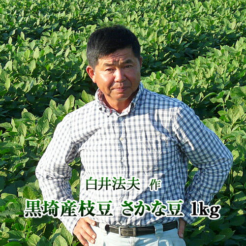 【冷凍野菜】【学校給食】台湾産むき枝豆1kg【東洋水産】