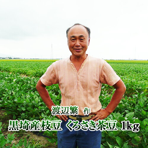 【8月中旬から順次出荷予定】山形県産 枝豆 庄内茶豆 秀品(3kg)※日時指定はメールで※【 山形産 まめ マメ 豆 枝豆 茶豆 庄内茶豆 御中元 お中元 夏 ギフト 送料無料 暑中見舞い 残暑見舞い プレゼント 人気 産地直送 お取り寄せ 贈り物 敬老の日 】