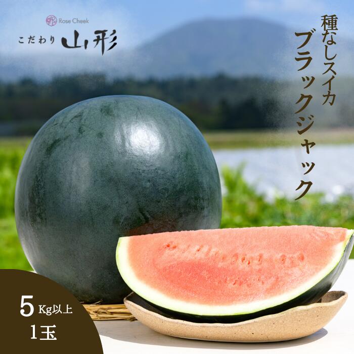 ブラックジャック スイカ 中玉 山形県産 村山 5kg以上 種なし ギフト お中元 贈答用 7月下旬以降順次発送予定 山形 すいか