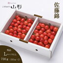 さくらんぼ 佐藤錦 山形県産 天童 Lサイズ以上 秀品 700g ギフト 贈答用 6月中旬頃順次発送予定
