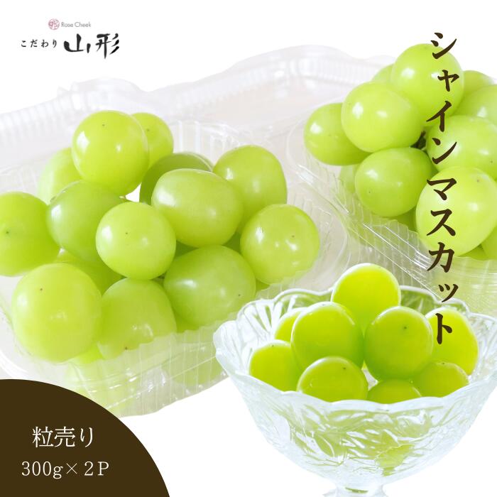 シャインマスカット ぶどう 山形県産 天童 粒売り 300g×2パック 種無し 減農薬 家庭用 9月下旬頃順次発送予定