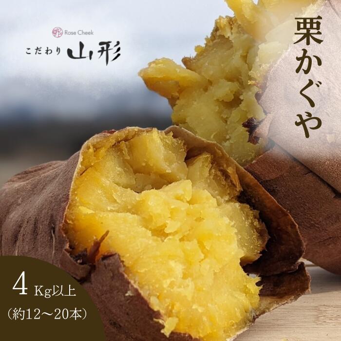 さつまいも 栗かぐや 山形県産 村山 4kg 家庭用 栽培期間中農薬不使用
