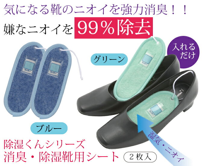 『消臭・除湿靴用シート4個セット』