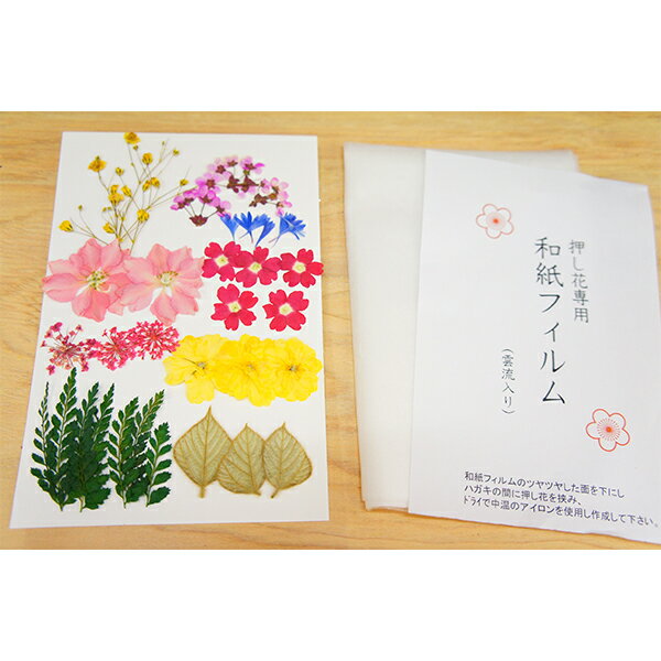 押し花 はがき 年賀状 はがき用押し花キット おしばな ハガキ 花 ポストカード アイロン