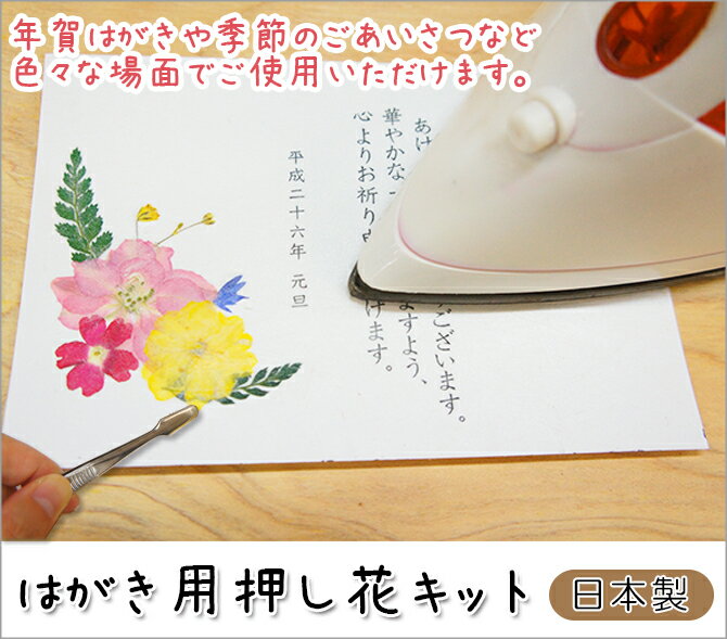簡単 色あせない 押し花の作り方ガイド 長持ちする綺麗な押し花を作ろう 暮らし の