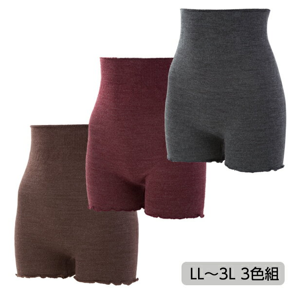 腹巻 パンツ 毛糸 レディース 腹巻き 杢調あったかパンツ LL〜3Lサイズ 3色組 腹巻パンツ 冷