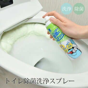 トイレ 洗剤 掃除 トイレ掃除 ノズル掃除 スプレー 除菌 洗浄 泡 日本製トイレ除菌洗浄スプレーおすすめ おうち時間 新生活 雑貨