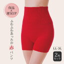 腹巻 パンツ レディース 腹巻き 妊娠 ふわふわあったか赤パンツ 赤 LL-3L 2枚組 腹巻パンツ 冷えとり お腹 温める グッズ 腹巻き付きパンツ あったか 毛糸のパンツ 冷え性 健康 かわいい 可愛い 下着 インナー 秋 冬 あたたかい 妊婦