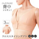 レディース インナー 下着 ブラジャー クロススタイリングブラ 3枚組 脇肉 すっきり ノンワイヤー 前フック M L LL 姿勢矯正 セット