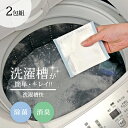 洗濯槽クリーナー 洗濯機 洗濯槽快 2包組ネットつき かび臭い ホタテ貝殻 カビ 臭い 洗濯槽 洗濯槽快 除菌 消臭 カビ取り カビ防止 使い切り 分包タイプ ...