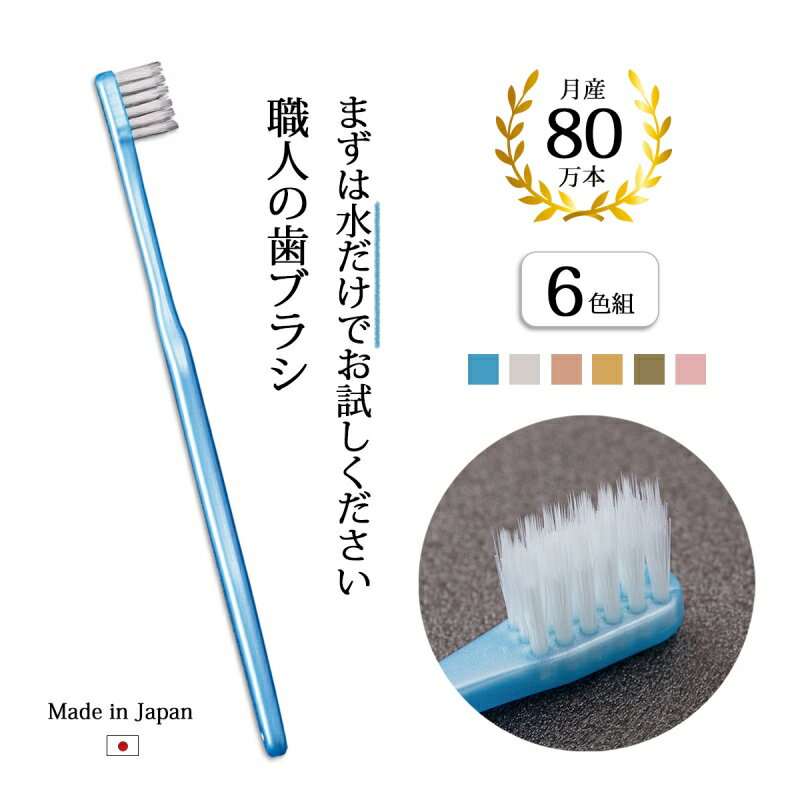 お買い得 歯ブラシ ライフレンジ 磨きやすい歯ブラシ 極 ふつう 歯ブラシ職人 田辺重吉 LT-44 ×12本セット 