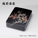 文具 文庫 保管 小物入れ インテリア 箱 小箱 梅 収納 沈金紅白梅 文庫 黒 12-13003 高級 日本製 ギフト 1個 塗り 木製 手塗り 越前 越前漆...