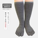 靴下 ソックス おすすめ 人気 おしゃれ シンプル 5本指 5本指ソックス 4951 レディース 保温 冷え 対策 冷え防止 日本製 国産 オールシーズン 紀州 備長炭 繊維 消臭 冷え性 保温ムレない 無地 最強 レッグウォーマー