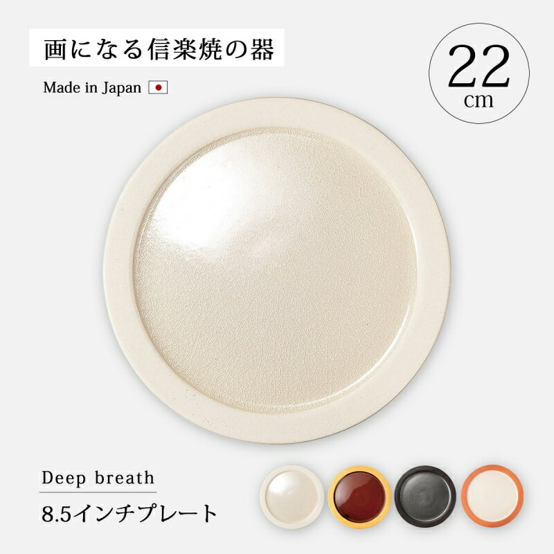 食器 皿 プレート 日本製 信楽焼 Deep breath 8.5インチプレート 陶器 大皿 丸 8.5インチ 22cm