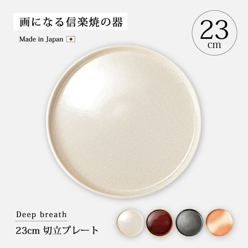 食器 皿 プレート 日本製 信楽焼 Deep breath 23cm 切立プレート 陶器 大皿 丸 23cm