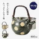 急須 土瓶 二色十草・緑釉水玉 SS5号土瓶大 シンプル グリーン 緑 お茶 取っ手 スーパーステンレス 水玉 ドット来客 お手入れ簡単 陶器 茶こし付き 人気...