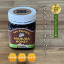 福岡農事研究所 アクティブ マヌカハニー ニュージーランド 生食用 100% 蜂蜜 オーガニック 250g