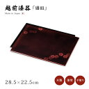 皿 器 盛皿 四角 木製 漆塗り 手塗り 越前漆器 上品 おすすめ 日本製 【送料無料】【送料無料】菊白檀 色紙盛皿 透溜 12-07103