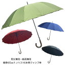 傘 雨傘 晴雨兼用傘 全天候型 オールウェザー対応 メンズ レディース 男女兼用 親骨65cm1 6本骨 ジャンプ傘 ナノハス16本骨ジャンプ傘 無地