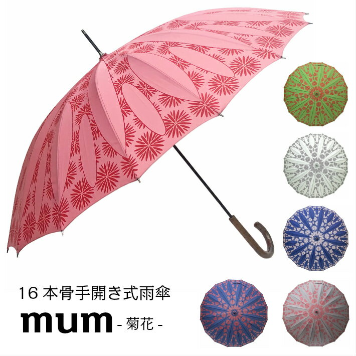  ǥ  Ĺ ƹ58cm 16ܹ 곫 mum Ʋ 16ܹ곫  ե 