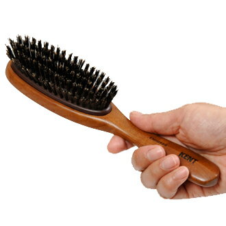 wA[uV KENT Pg ؖуwA[uV KNH-2624a  ӂ M p fB[X Hair brush [DA]