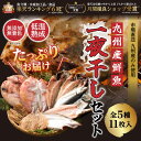 【母の日 早割 クーポン】お歳暮 父の日 干物 九州産鮮魚一夜干しセット【5種11食分】国産 送料無料 あじ 蓮子鯛 あじみりん 真鯛 かます 冷凍 ギフト 御...