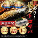 【こちらは組み合わせ購入商品で単品購入不可です】【追加用】 訳あり極上トロサバ 訳あり 天然塩サバフィレ1000g 極上トロサバ 塩サバ ノルウェー産 送料無料...
