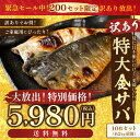【訳あり!不揃い 特大 金サバ】特大 金 サバ 塩サバ フィレ 10枚 しおさば サバ さば 鯖 冷凍 ノルウェー産 送料無料 バーベキュー BBQ 海鮮 おつまみ 朝食 家族向け 親族向け 業務用 新生活 魚 海鮮 個包装 キズあり 不揃い 訳あり 訳アリ 発送B